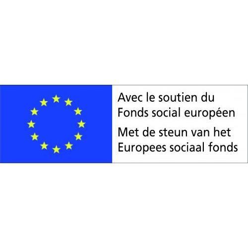 Logo FSE