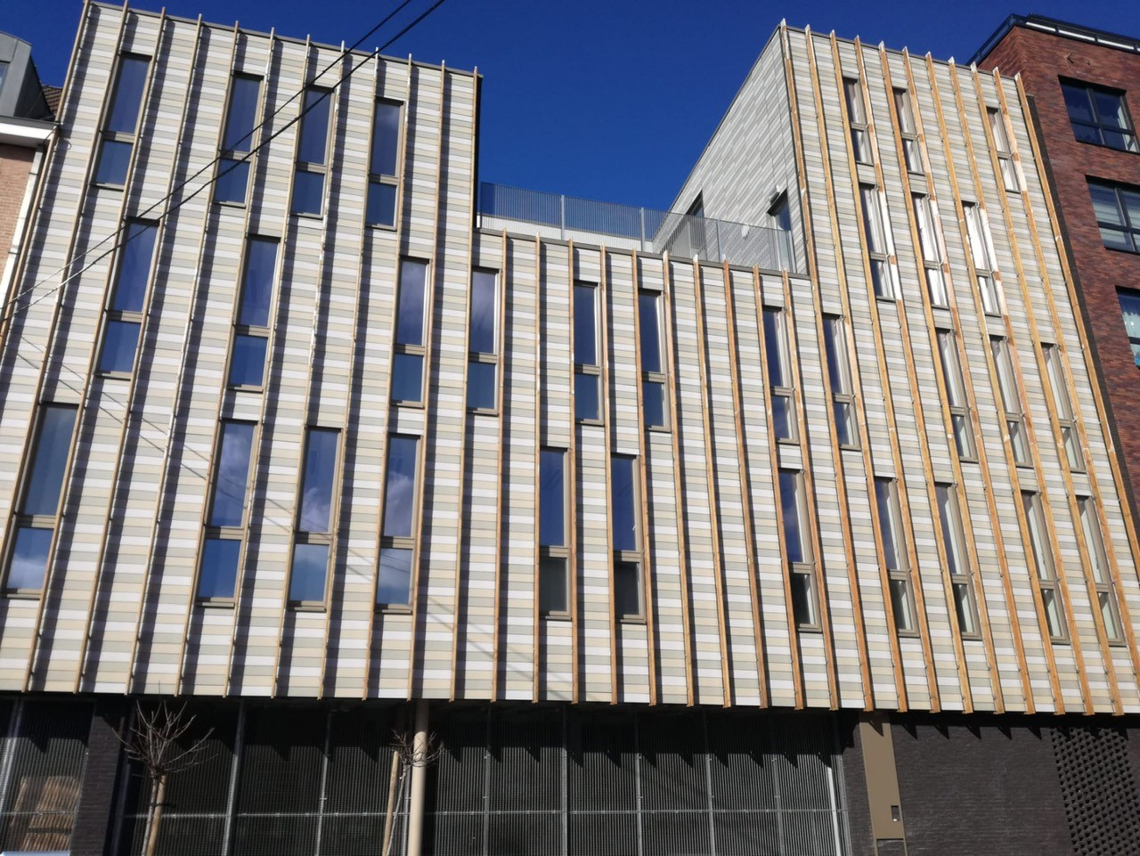 Gebouw Schols